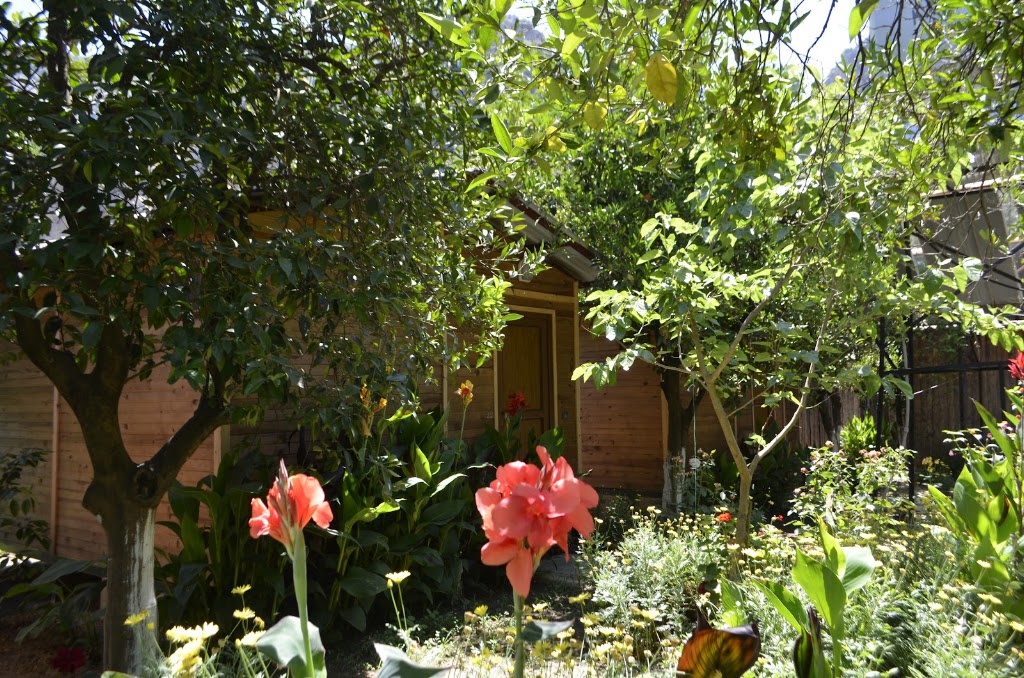 Olympos Mercan Bungalow Pansiyon
