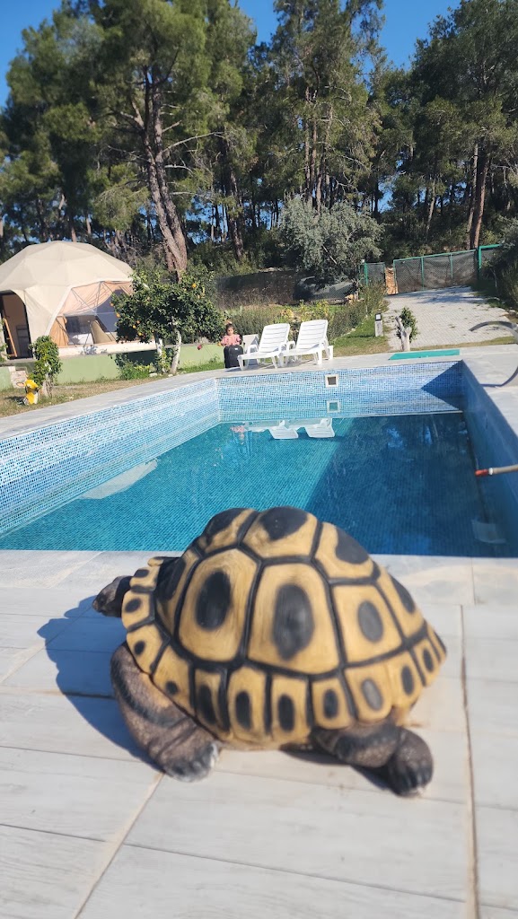 Yeşilçam Glamping