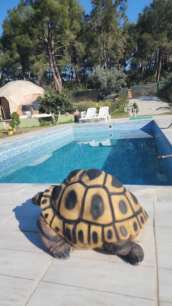 Yeşilçam Glamping
