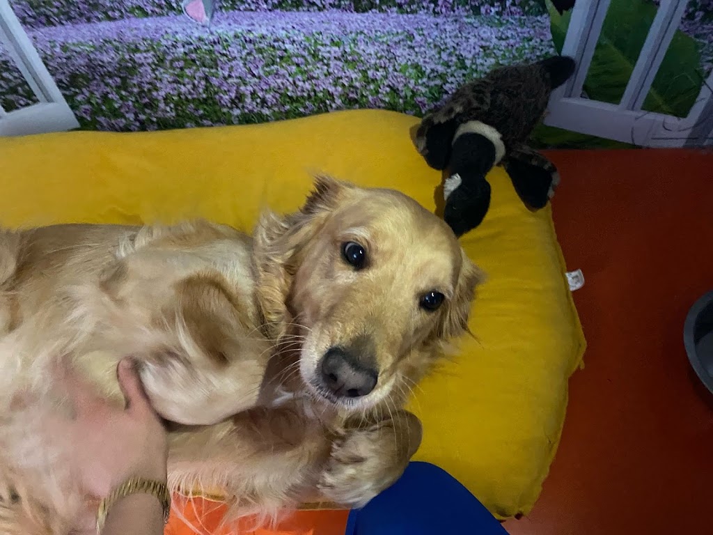 Lara Pet Otel