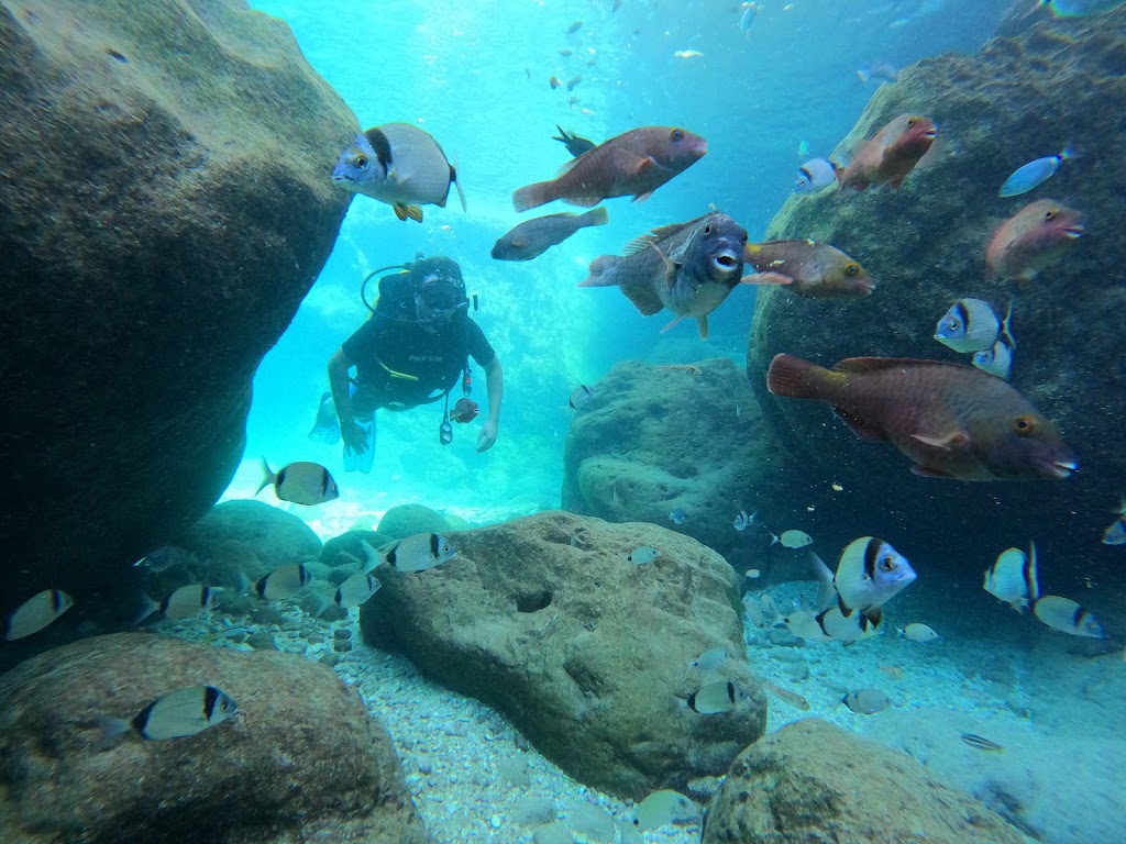 Deep Aqua Dive Center