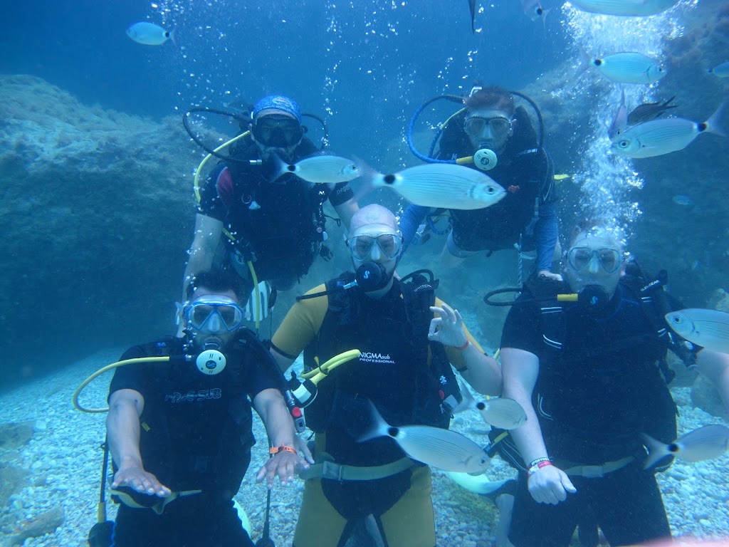 Falcon Diving Center