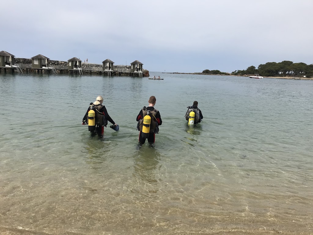 Falcon Diving Center