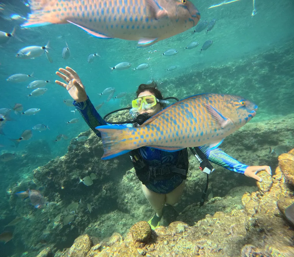 Yetkin Diving Center