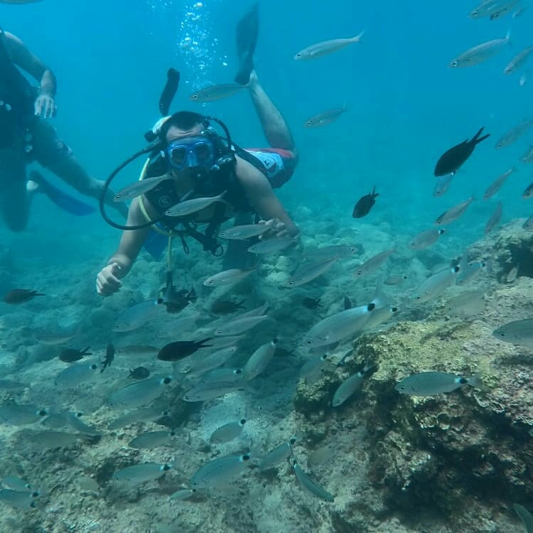Antalya Sualtı Derneği