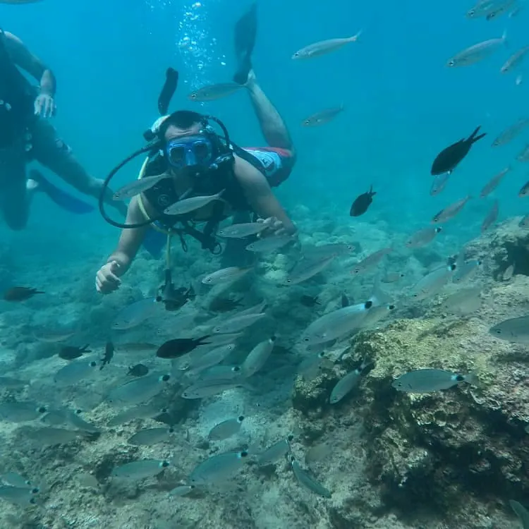 Antalya Sualtı Derneği