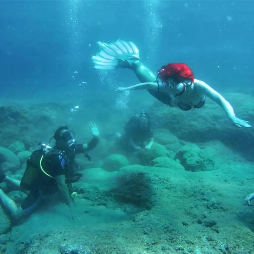 Pearl Diving Center
