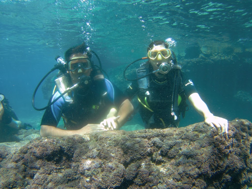 Pearl Diving Center | Since 1999