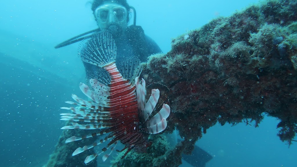 DiveAntalya