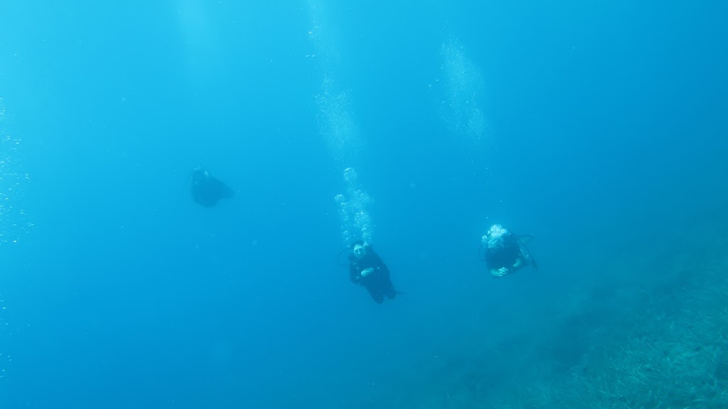 DiveAntalya