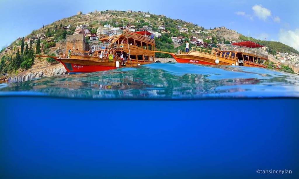 Dolphin Dive Center Alanya