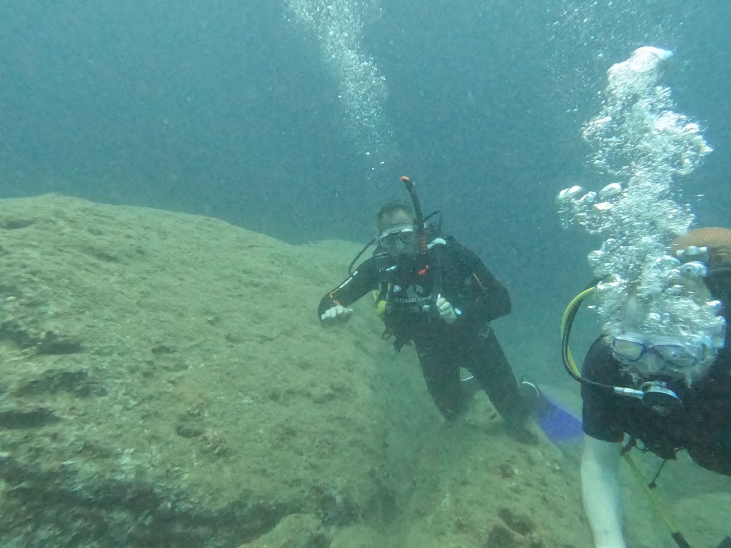 Dolphin Dive Center Alanya