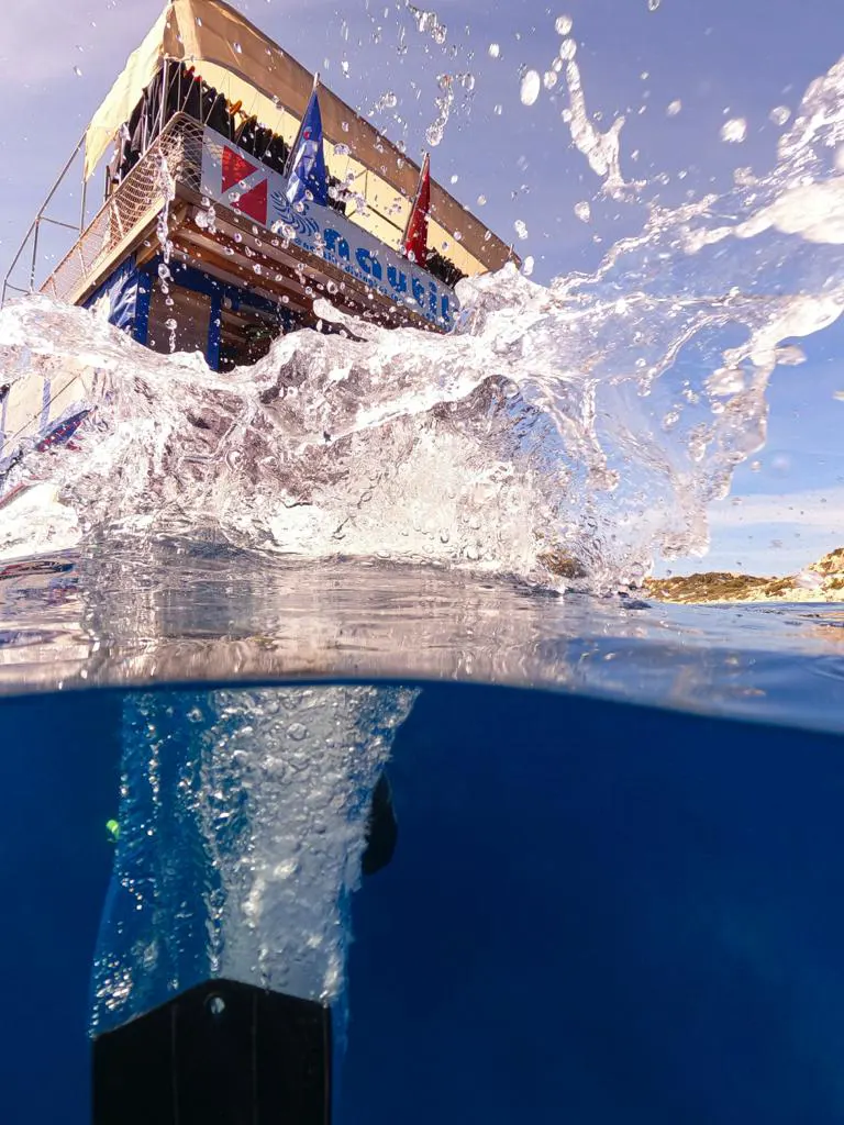 Nautilus Diving
