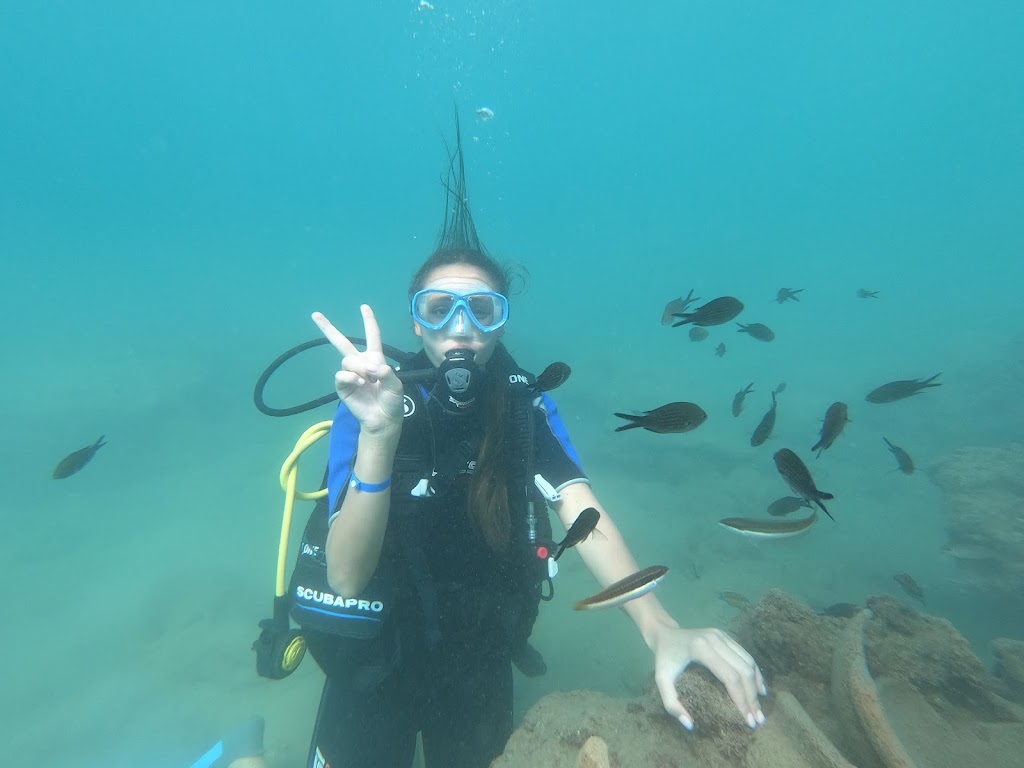 Like Diving Academy