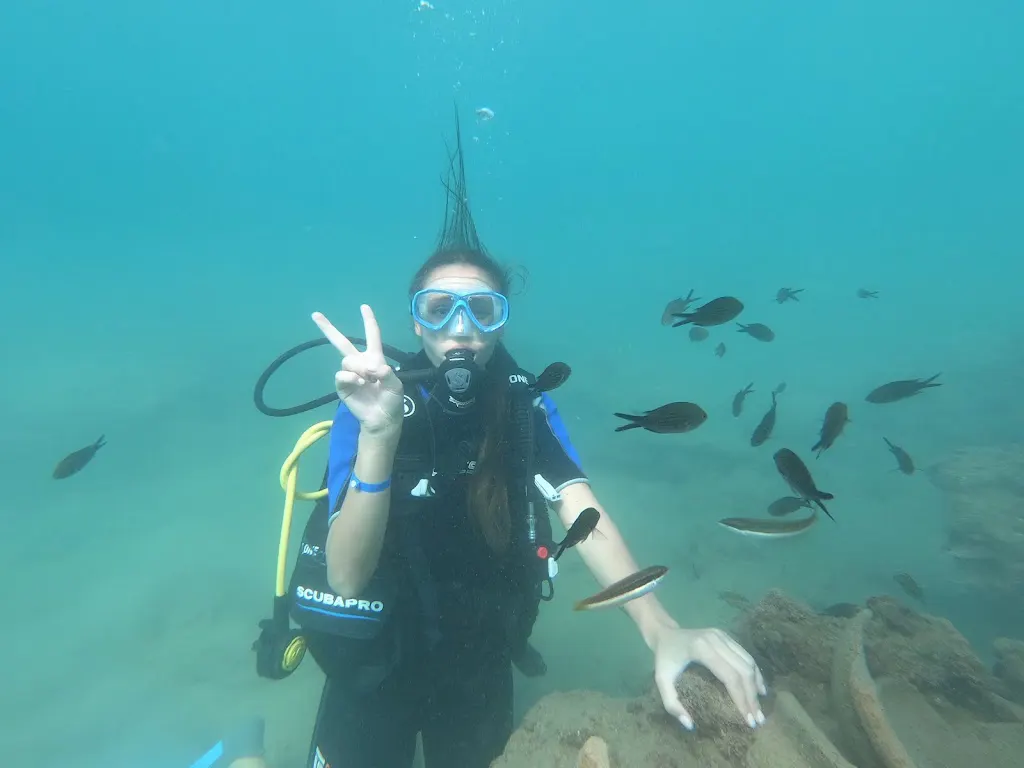 Like Diving Academy