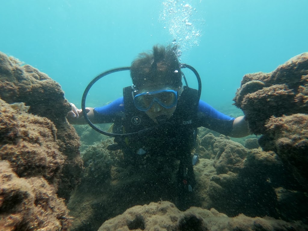 Like Diving Academy