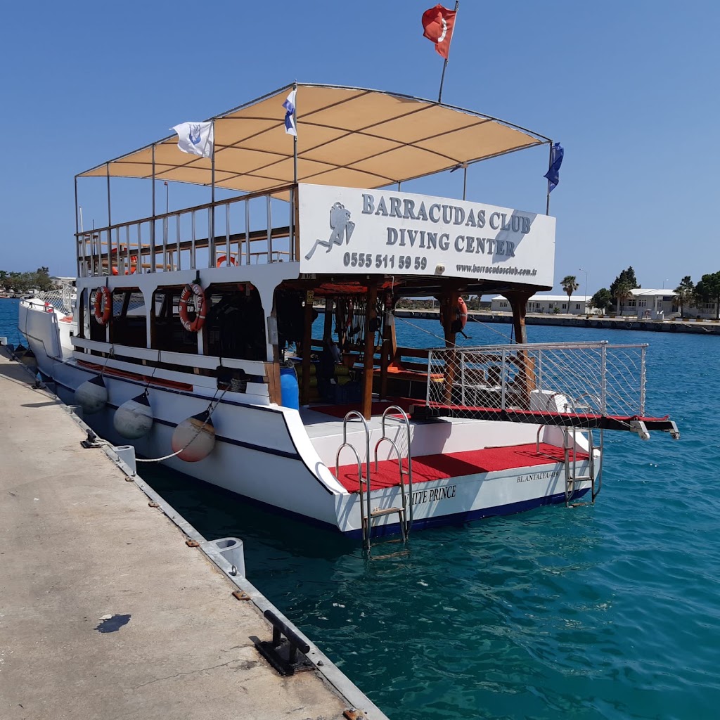 Barracudas Club