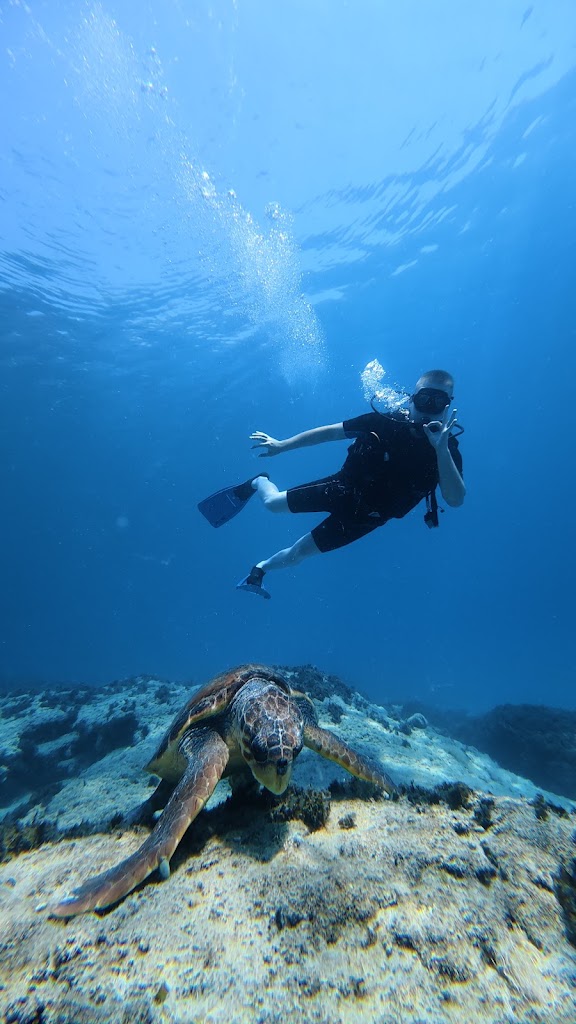 Divection Dalış Eğitim Merkezi