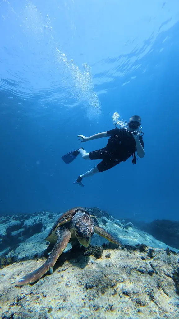 Divection Dalış Eğitim Merkezi