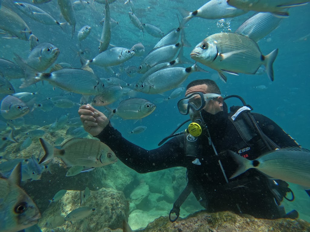 Pusula Dive Center
