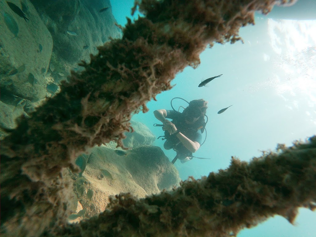 Pusula Dive Center