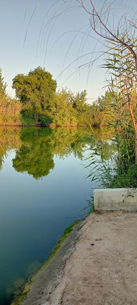 Belek River Canoe&Picnic