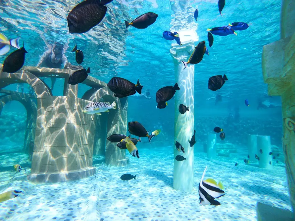 Sealanya Dolphinpark Seapark
