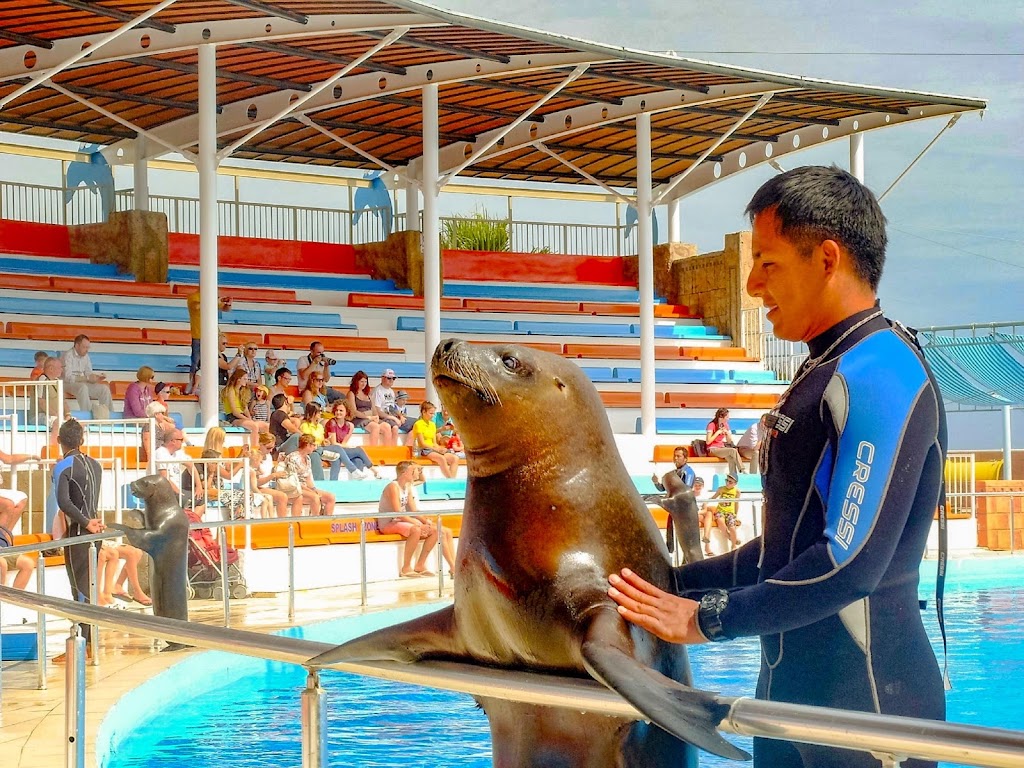 Sealanya Dolphinpark Seapark