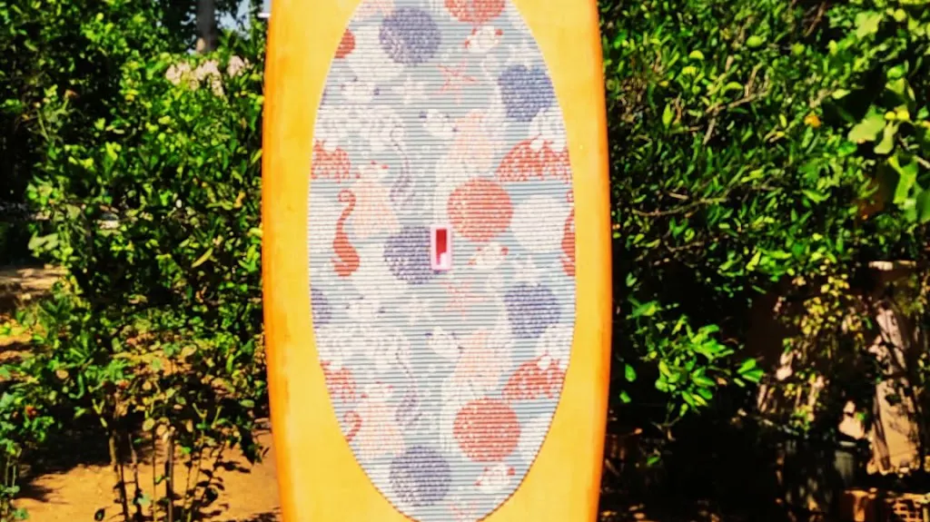 Kürek Sörfü Sörf Tahtası Sup Stand Up Paddle Board