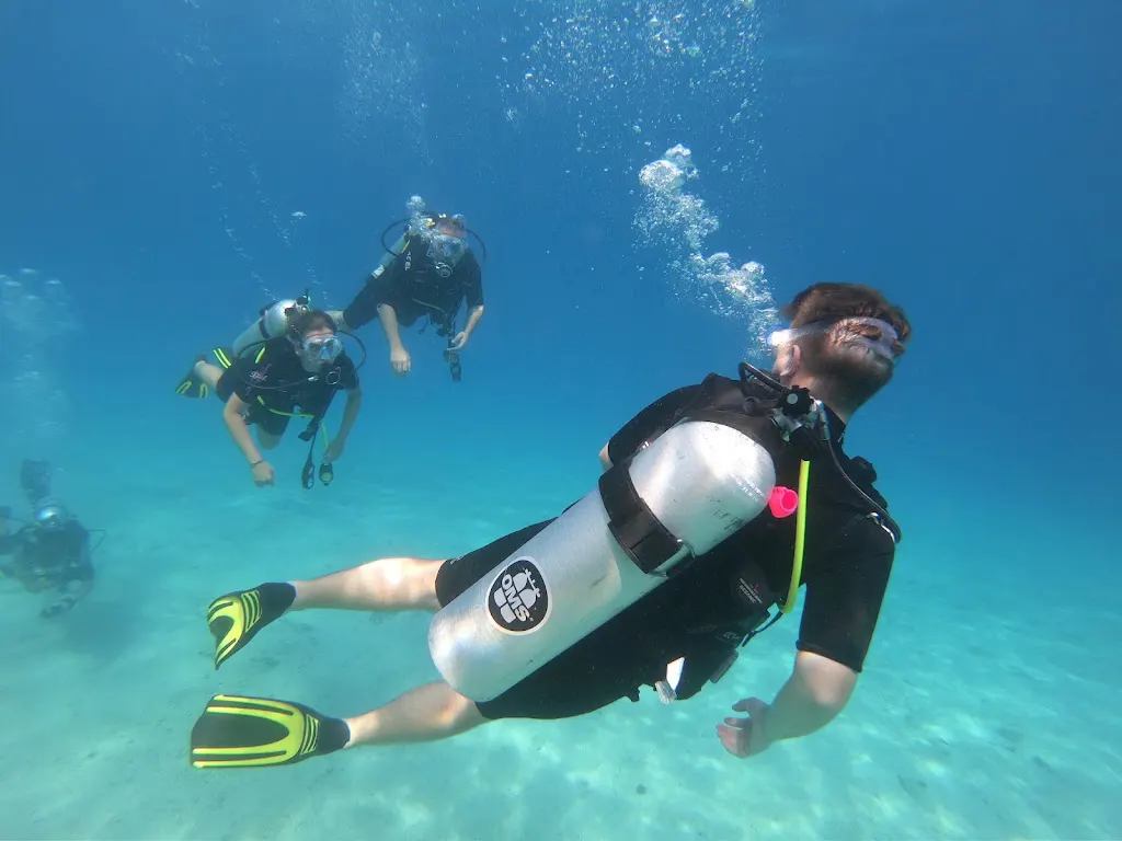 Orfoz Diving