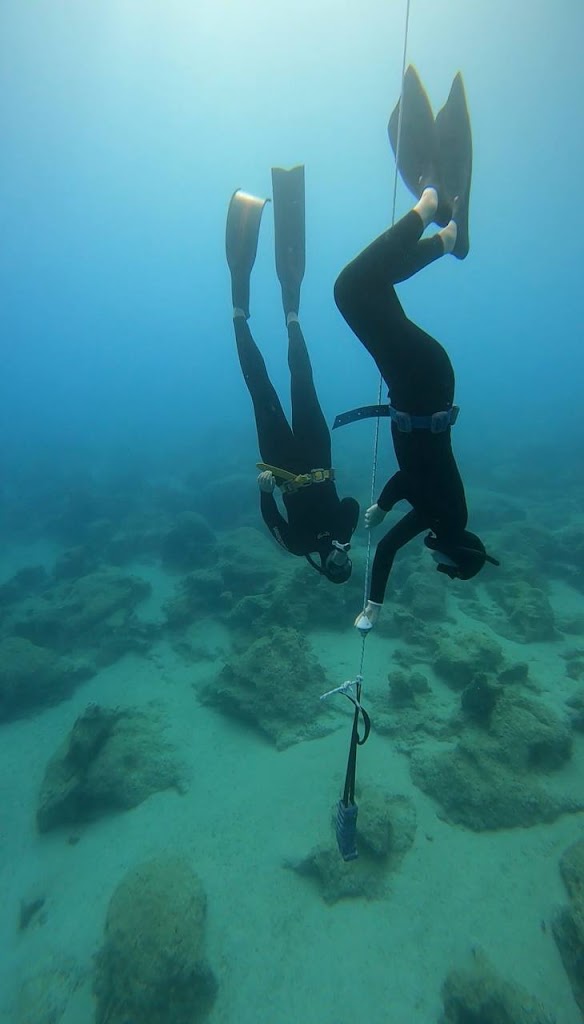 Freedive Cosmos | Molchanovs Freediving School