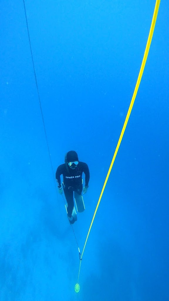 Freedive Cosmos | Molchanovs Freediving School