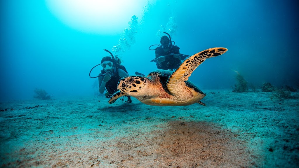 Hüseyin Doğdu Scuba Diving İn KAŞ