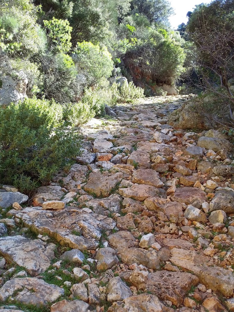 Topçu Yolu