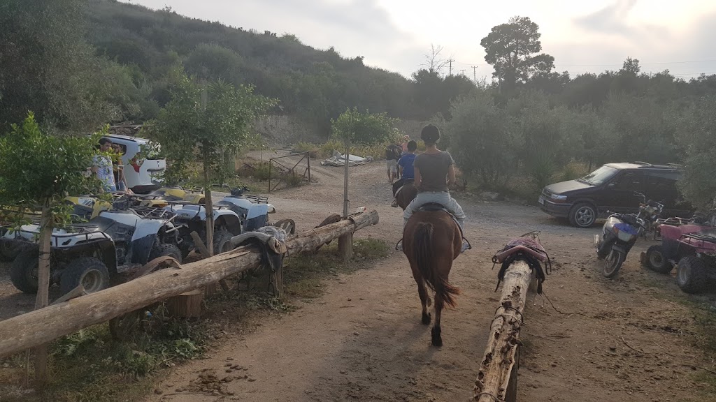 Patara Quad Bike