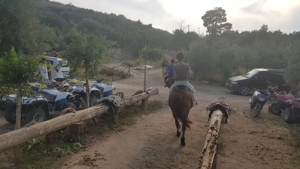 Patara Quad Bike