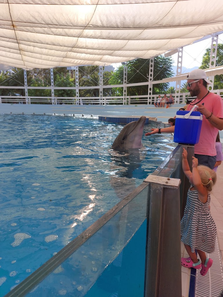 Kemer Dolphin Park