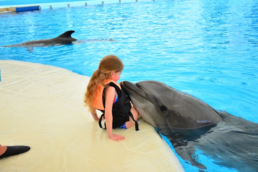 Kemer Dolphin Park