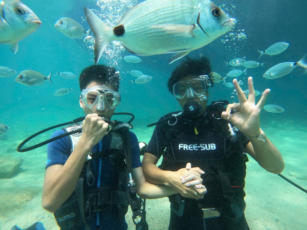 Alien Diving Academy