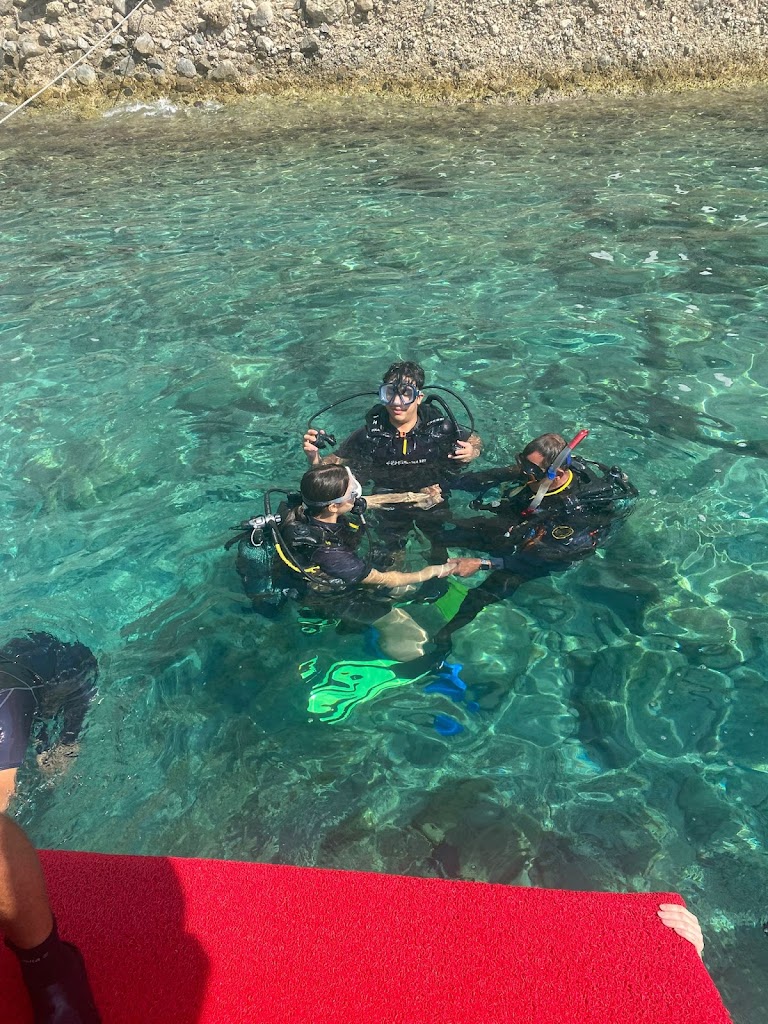 Alien Diving Academy