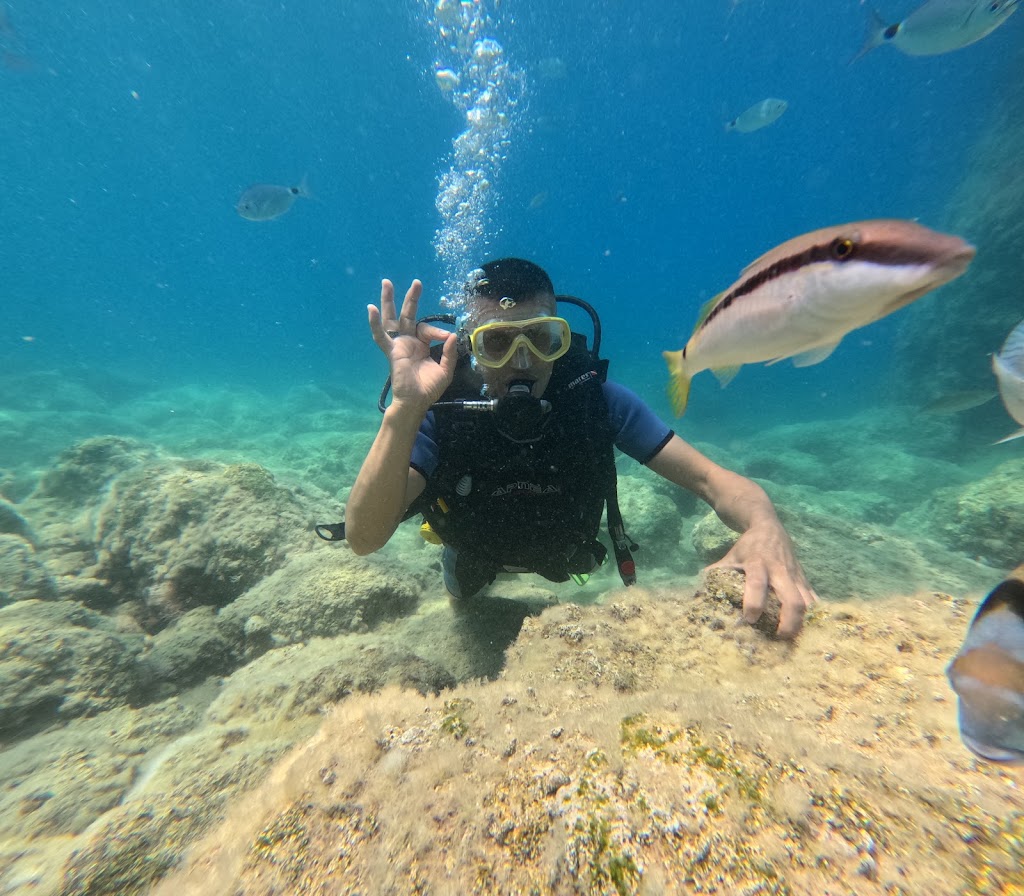 Seafox Diving Center