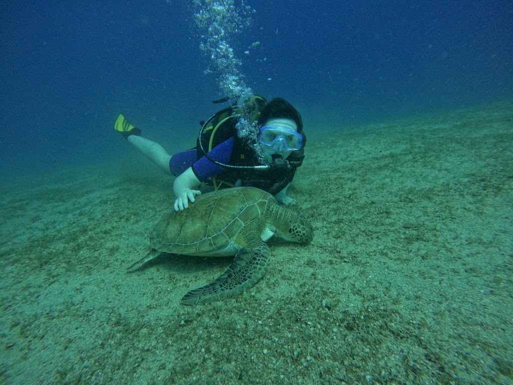 Seafox Diving Center