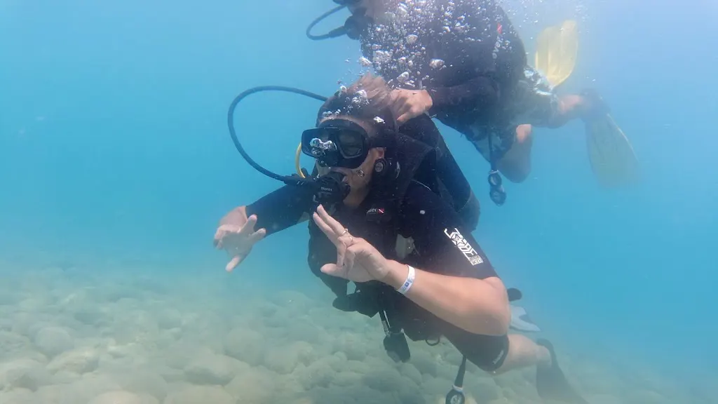 Taurus Diving School