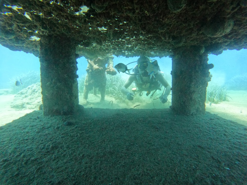 Deniz Feneri Diving Center Side | Cmas SSI Tssf