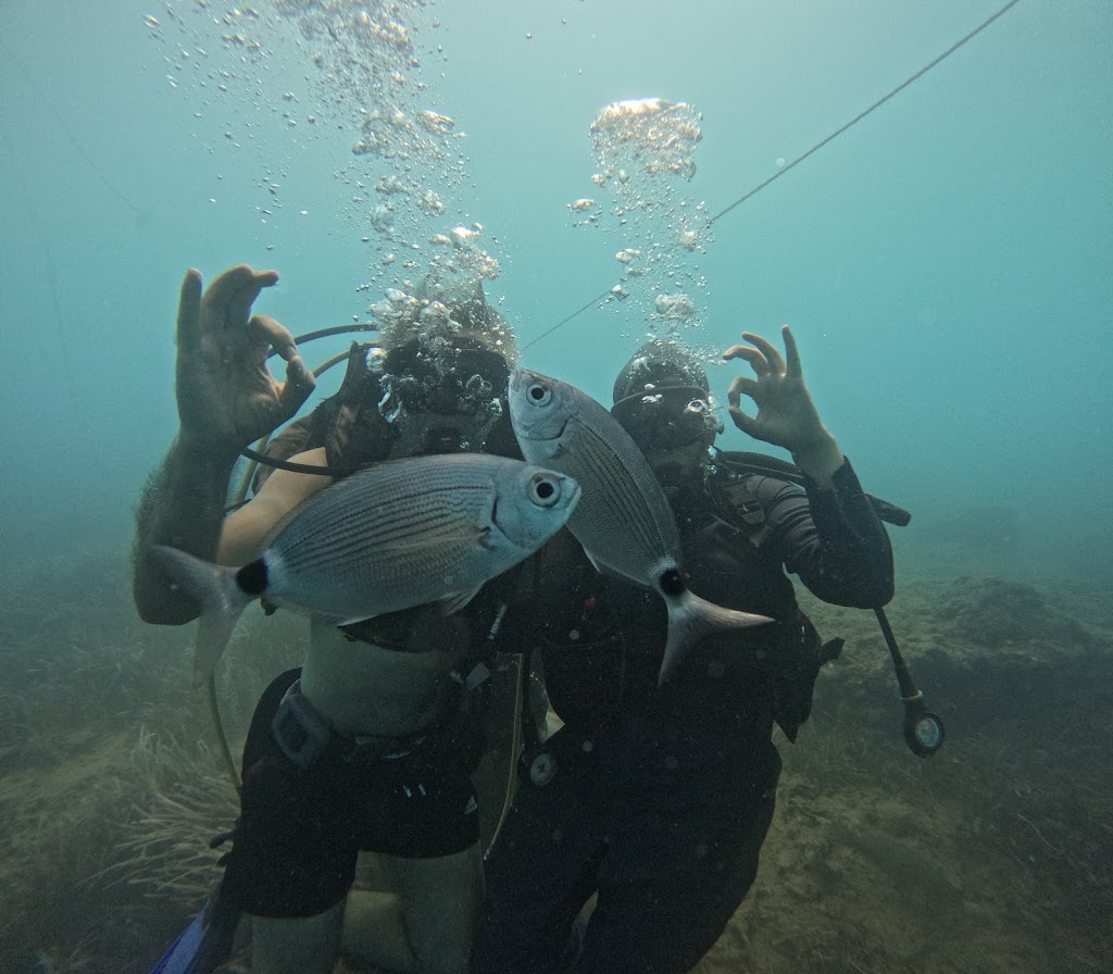 Side Diving Center