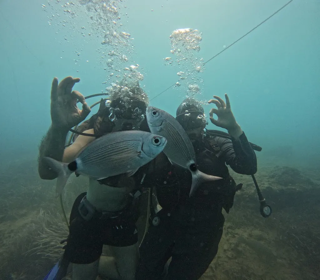 Side Diving Center