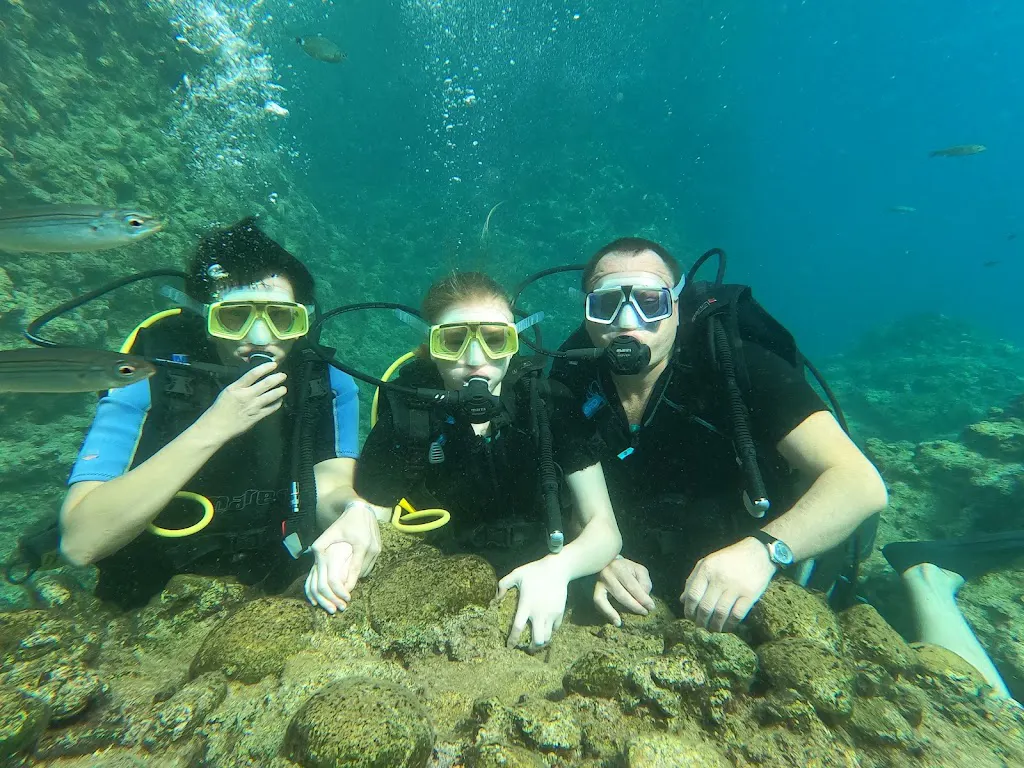 Denis Diving Center