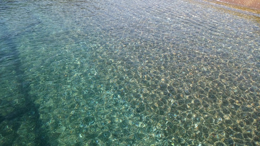 Despina