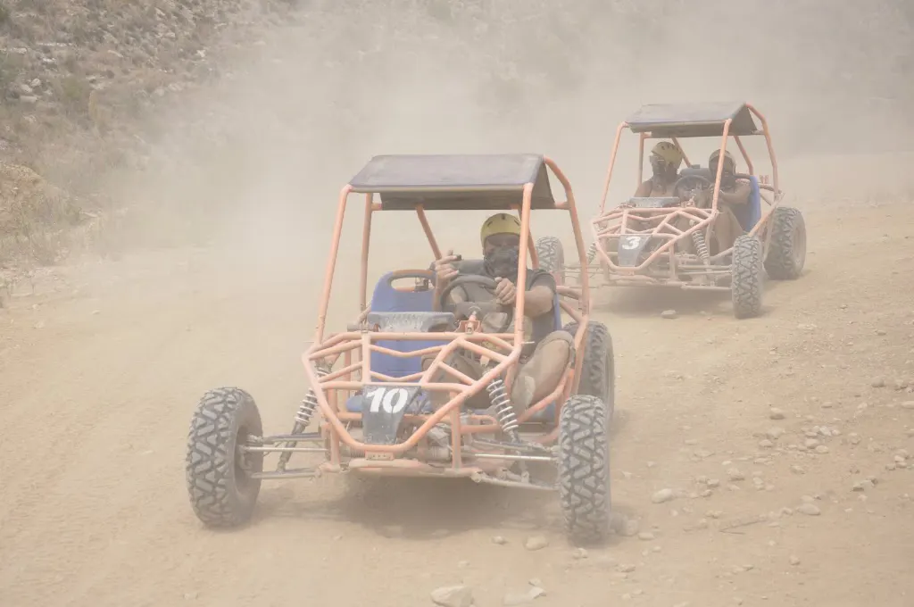 Cat's Quad & Buggy Safari