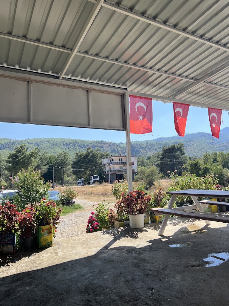 Pınar Rafting Zipline Bugy